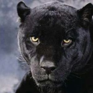 Meet your Posher, Vicki